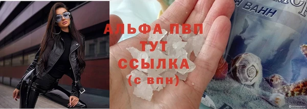 стафф Аркадак