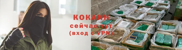 стафф Аркадак