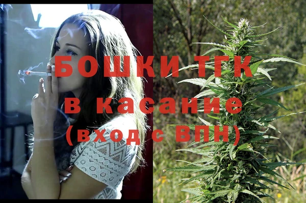 стафф Аркадак