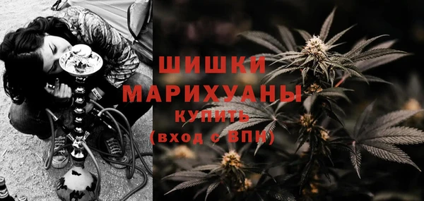 стафф Аркадак