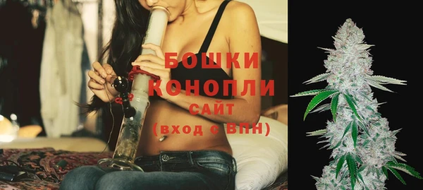 стафф Аркадак