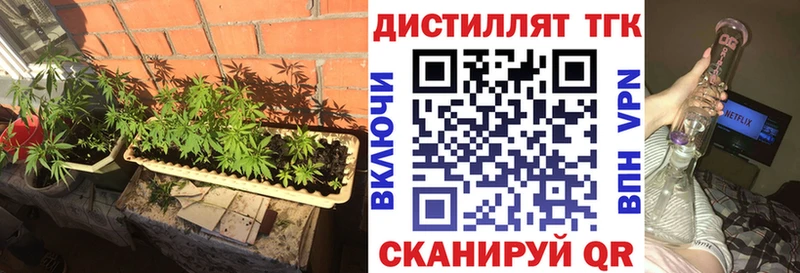 OMG   Богучар  ТГК вейп 